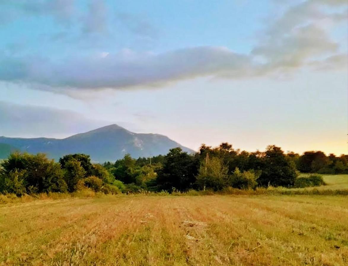 Villa Saturea Boljevac Exteriér fotografie