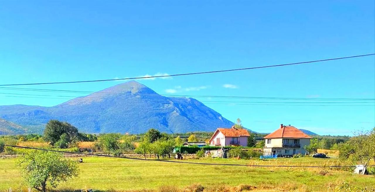 Villa Saturea Boljevac Exteriér fotografie