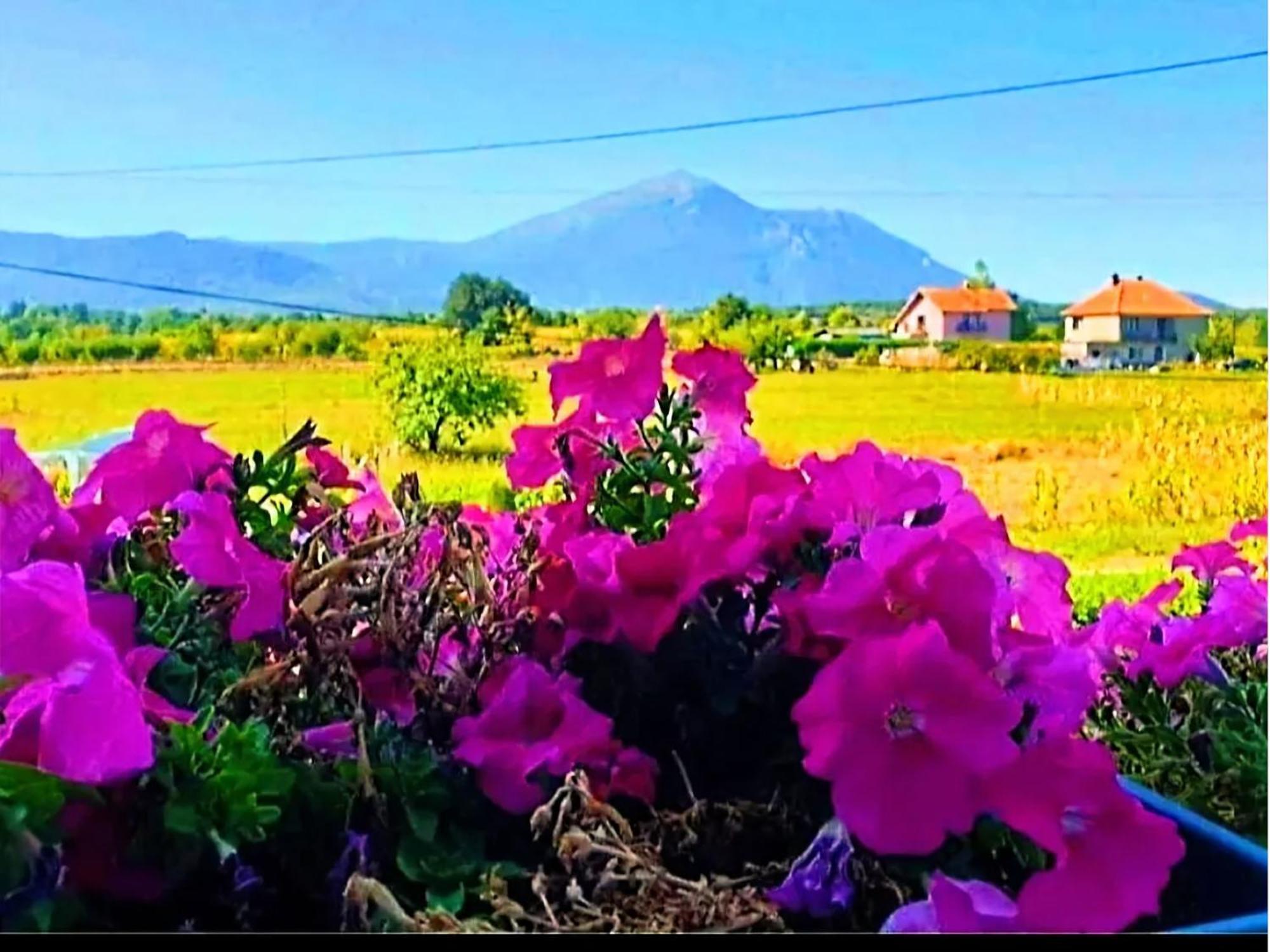 Villa Saturea Boljevac Exteriér fotografie